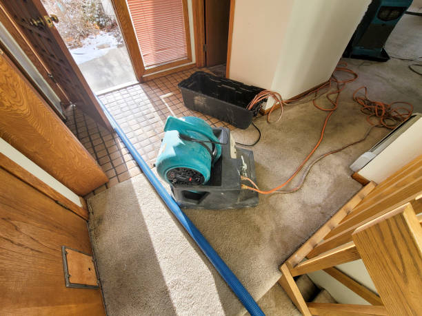 Best Sewage cleanup and water damage restoration  in Quanah, TX