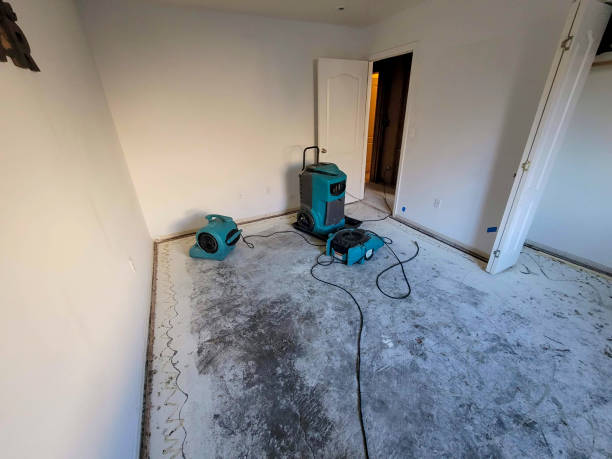 Best Local water damage restoration  in Quanah, TX